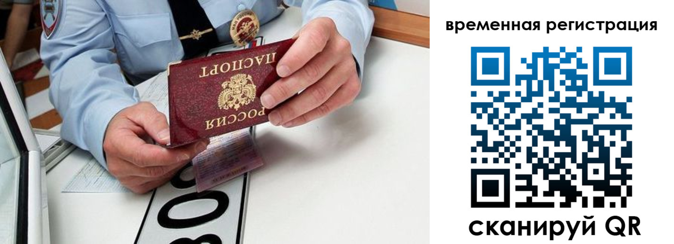 прописка гарантия в Зеленокумске